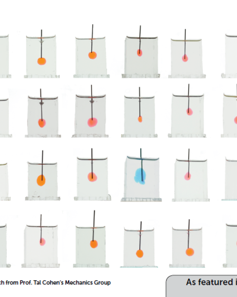 Volume-controlled cavity expansion for probing of local elastic properties in soft materials